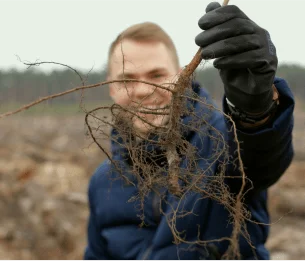 Photo of a man holding a root